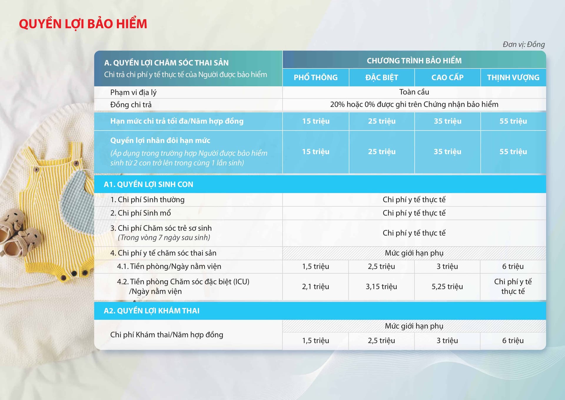 Quyền lợi Thai Sản hình 3